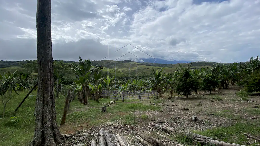 Finca La Esperanza